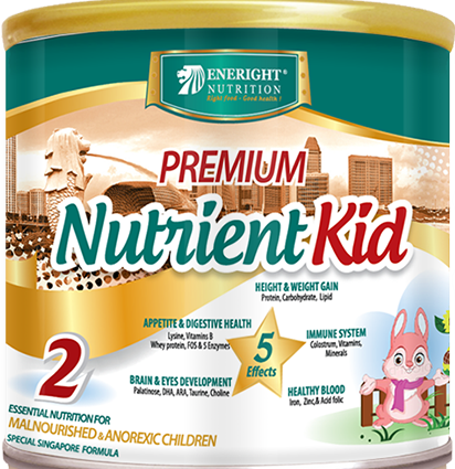 Sữa Nutrient Kid 2 700g